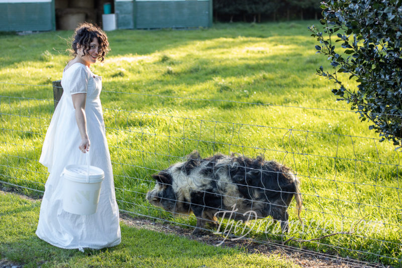 Costumes And Kunekune Pigs The Dreamstress,Bloody Mary Queen