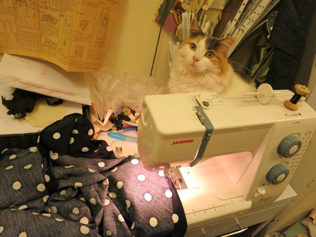 Felicity and the sewing machine