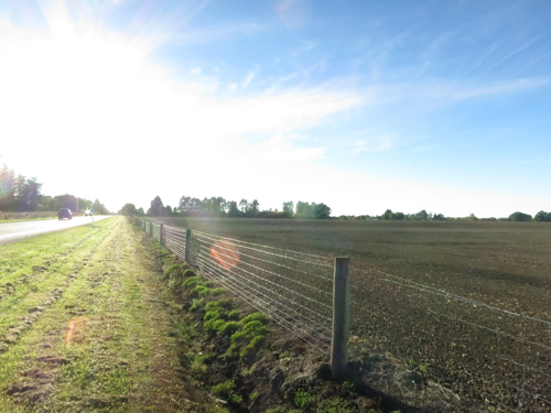 Roadside fields near Geraldine, Canturbury, New Zealand