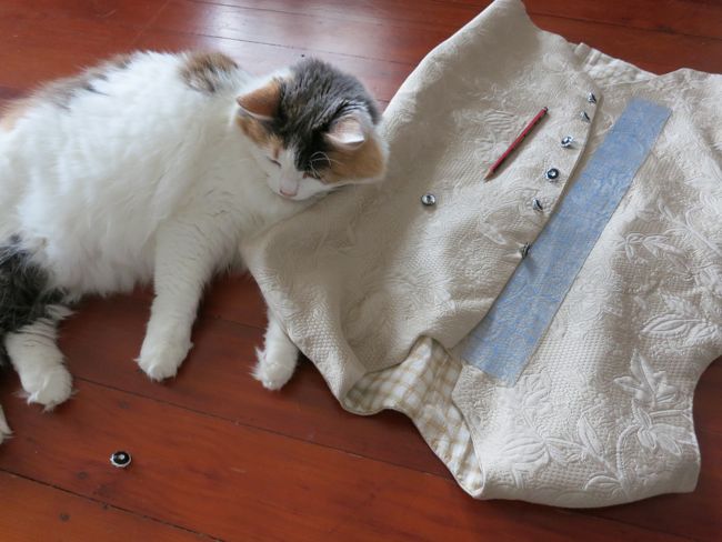 Felicity the cat and an 18th century waistcoat, thedreamstress.com