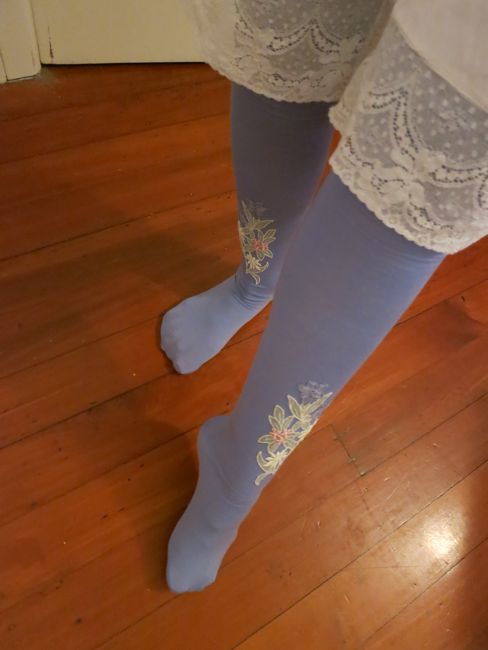 1870s Manet's Nana inspired stockings thedreamstress.com