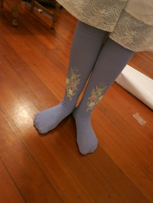 1870s Manet's Nana inspired stockings thedreamstress.com