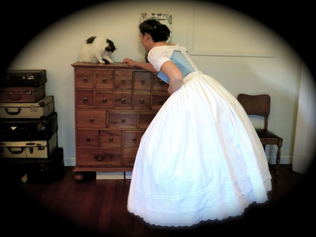 1860s paisley petticoat thedreamstress.com