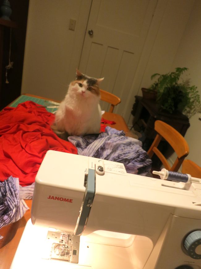 My messy sewing space, thedreamstress.com