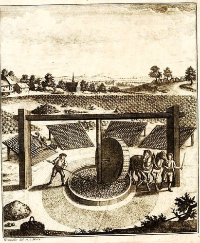 Illustration of German woad mill in Thuringia from Daniel Gottfried Schreber's book on woad. 1752
