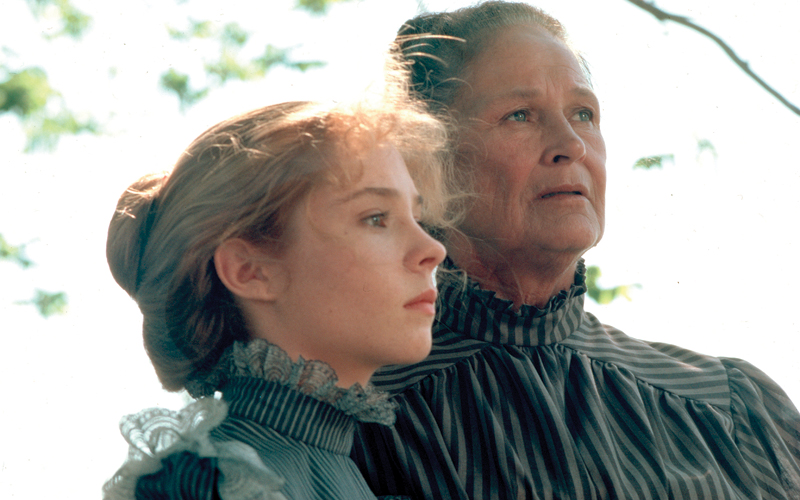 Anne of Green Gables - Marilla's Blouse