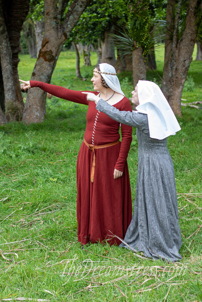 The NZSEHR 2019 in 1360s Medieval gowns thedreamstress.com