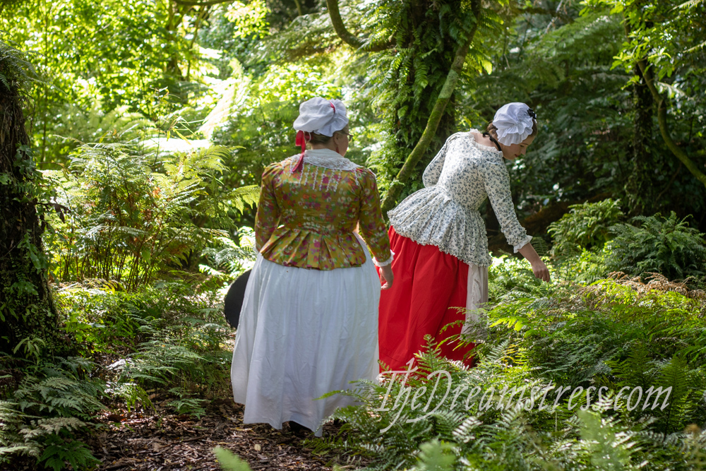 Image shows two women in 18th century dress in a fern filled wood, their backs to the camera.