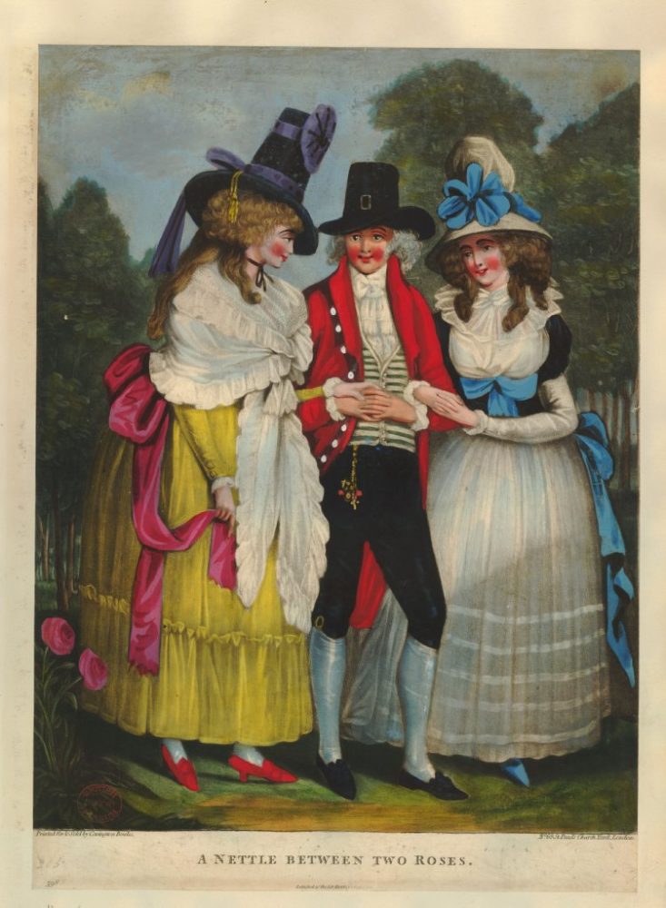 Carrington Bowles A Nettle between Two Roses 1790 handcolored