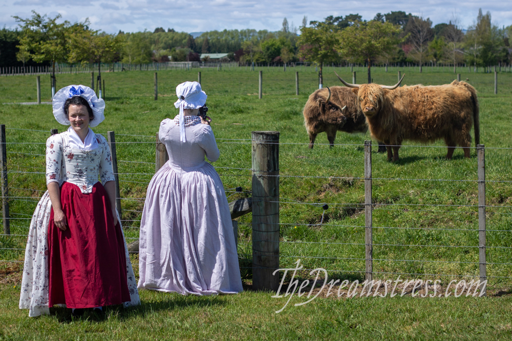 Two women in 18th century dress stand in front of a fence. Behind the fence are a pair of Highland cattle.