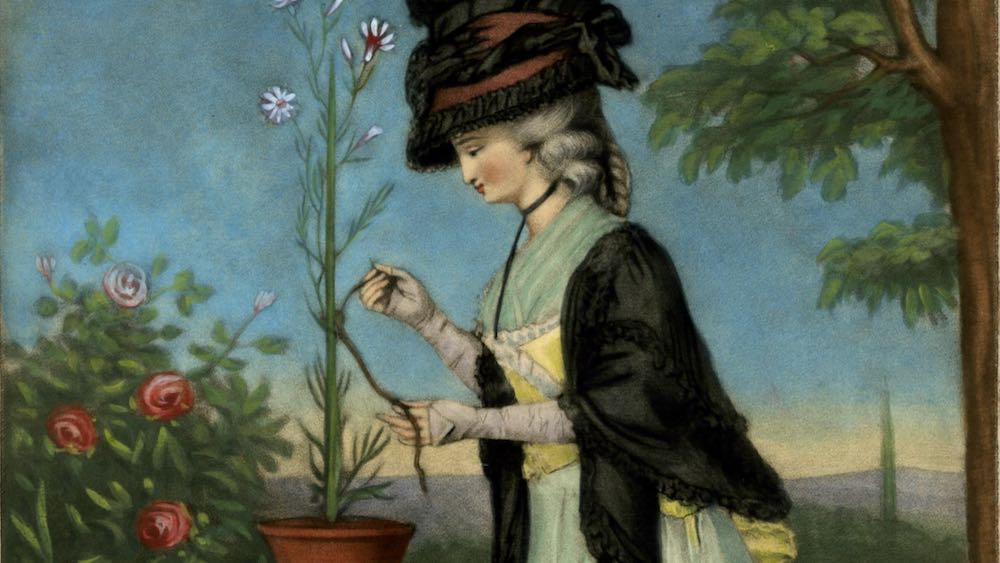 The Fair Florist, ca. 1780, British Museum, 960914001, 2010,7081.1017