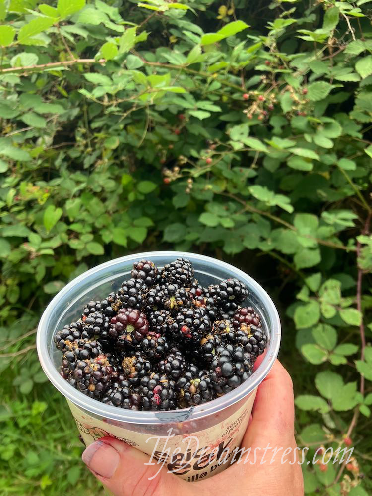 Blackberry jam thedreamstress.com