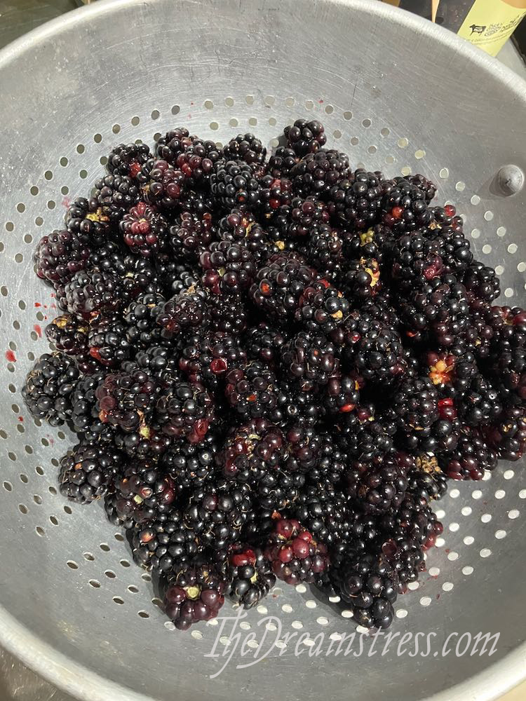 Blackberry jam thedreamstress.com