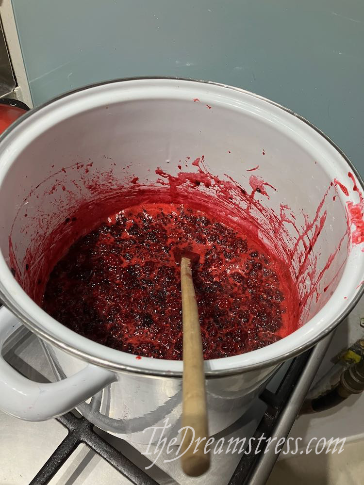 Blackberry jam thedreamstress.com