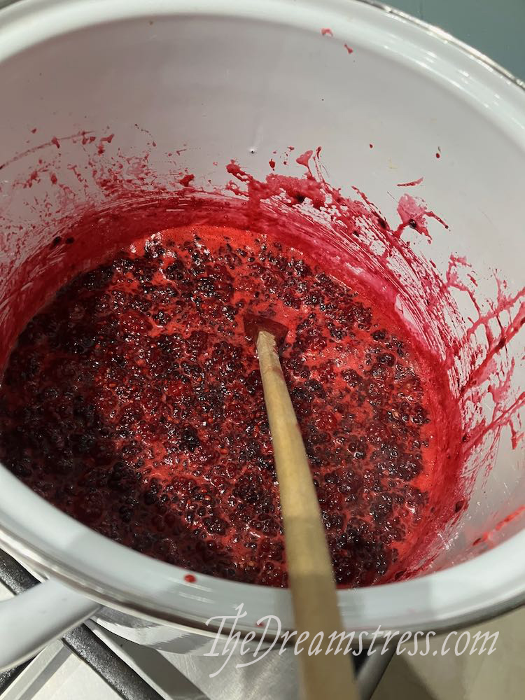 Blackberry jam thedreamstress.com