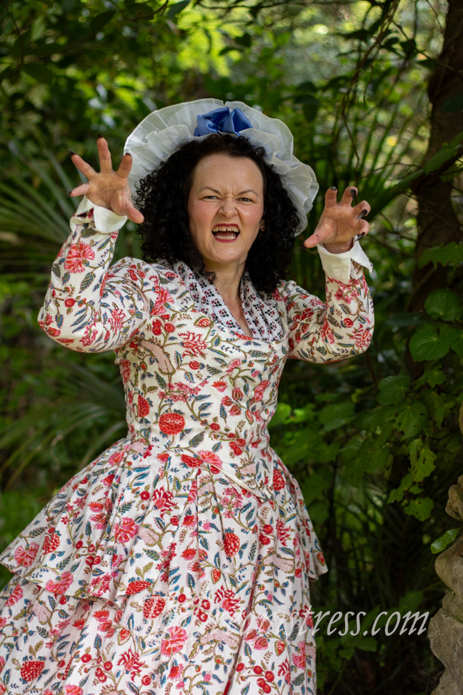 18th century but with dinosaurs thedreamstress.com