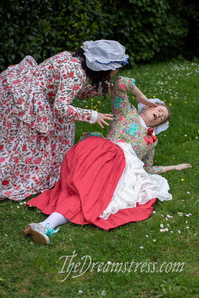 18th century but with dinosaurs thedreamstress.com