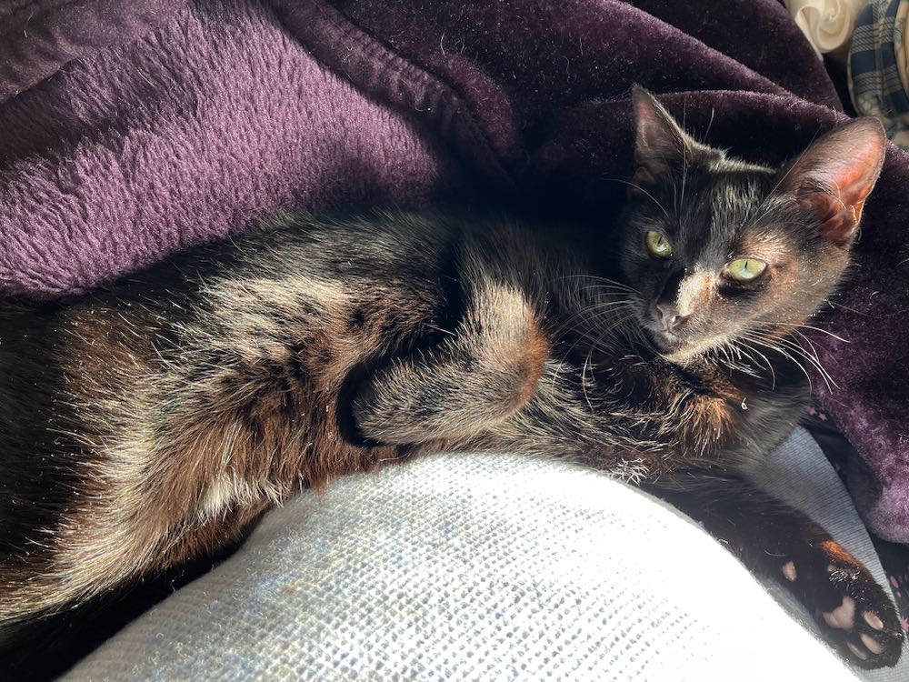 Little B & Paulie: Little B in the sun
